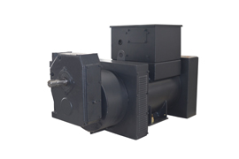 IP44 Special Customized Generator TCU228 50/5313kVA，400/480V，50/60Hz，4Pole