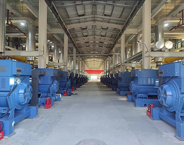 Shanxi 24WM Gas Power Generation Project (1000KW/10.5KV high-voltage generator)