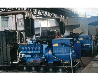 Coal Mine Power Generation Project in Yunnan Province  -3X1000KW/10.5KV HV alternators