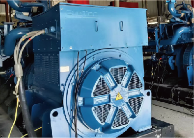 Tail Gas Power Generation Project of Chemical Plant in Shandong Province -2X 700KW/10.5KV 6 pole HV alternators