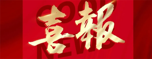 EVOTEC Electric's Coaxial Main-Auxiliary High-Low Voltage Brushless Synchronous Generator Granted National Invention Patent Authorization!